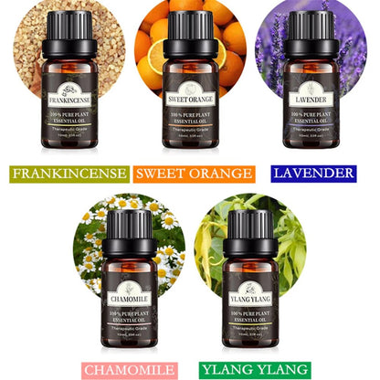 10ML Plant Fragrance Water-Soluble Essential Oil 14 Different Natural Scents To Selected Used In Humidifier Aroma Diffusers